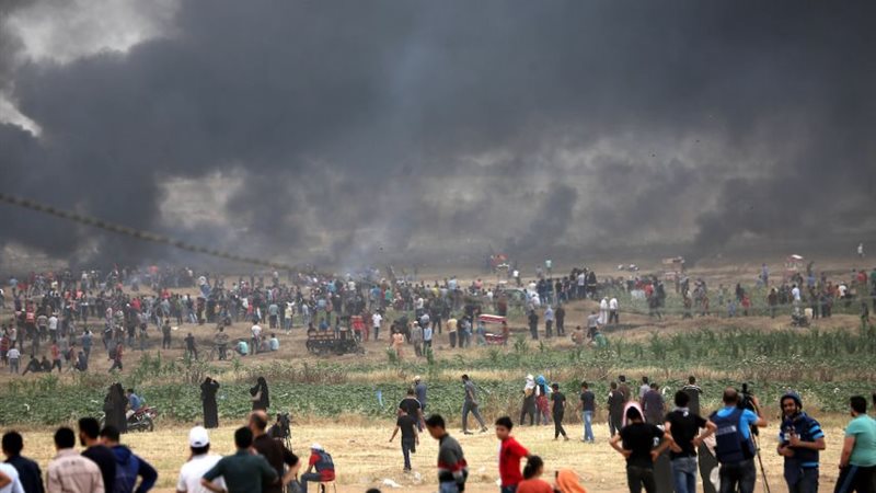 فلسطين 