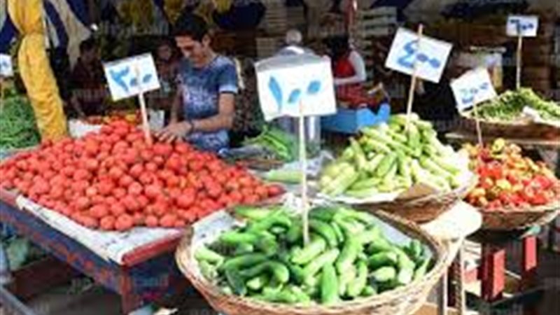  الطماطم 4 جنيهات
