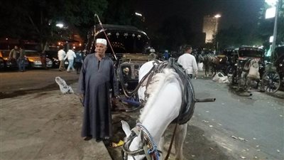 من 150 إلى 600.. أسعار 