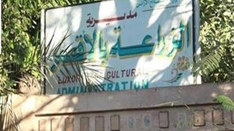 وزارة الزراعة بالأقصر