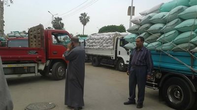 محافظ الشرقية: المحافظة استقبلت 11 ألف و705 طن قمح اليوم