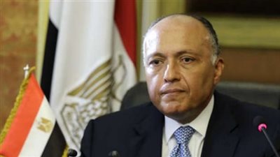 سامح شكري: جولة المشاورات 