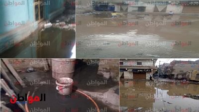 خاص لـ 