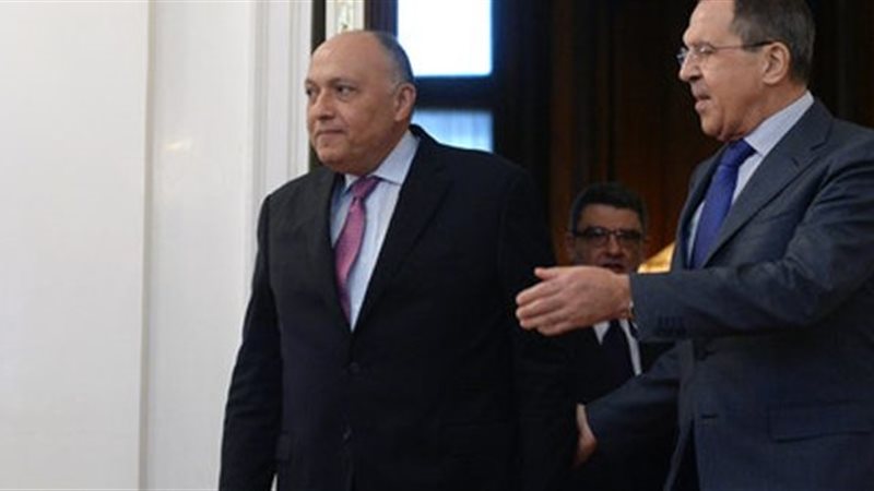سامح شكري ونظيره