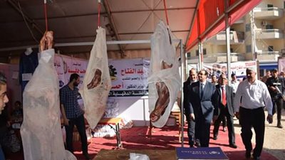 بعد الأسعار الوهمية.. محافظ الدقهلية في جولة مفاجئة لمعرض 