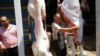 صور| اعدام كميات من اللحوم والأسماك المملحة الفاسدة في حملة تموينية بالحامول