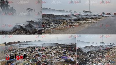 صور| 