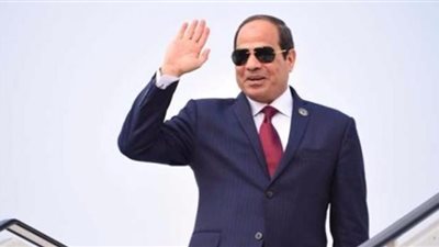 فيديو| السيسي: 