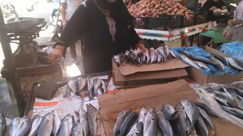 حملة تموينية بالدقهلية