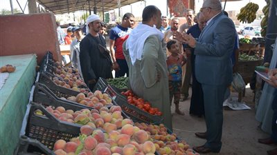 صور| محافظ الوادي الجديد يفاجئ 