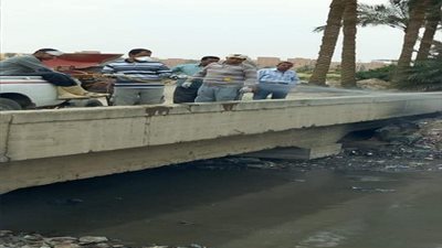 صور| حملات مكثفة لمكافحة يرقات البعوض في أول أيام شهر رمضان بالقليوبية
