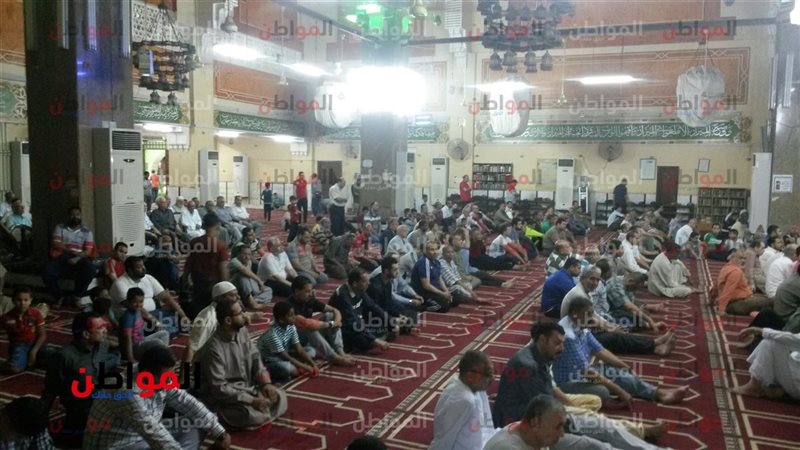 المواطن