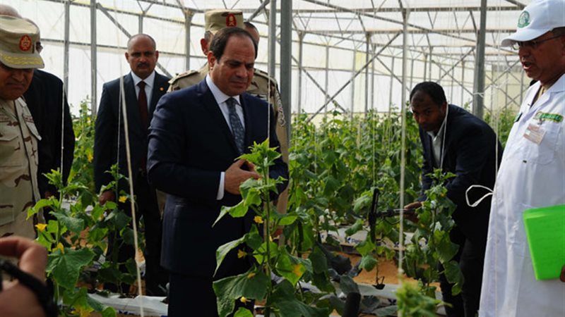 جانب من افتتاح الرئيس