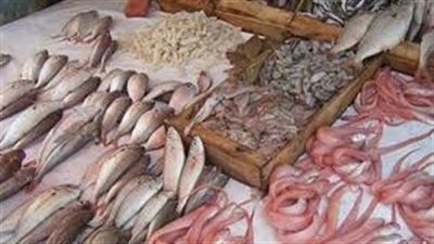 تباين أسعار الأسماك اليوم.. والبلطي يسجل 25 جنيهًا