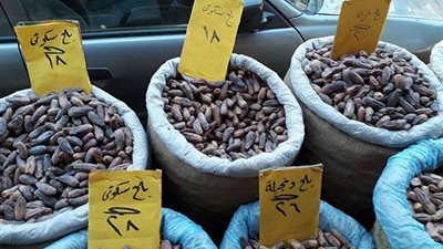 في رابع أيام رمضان.. تعرف على أسعار البلح في الأسواق