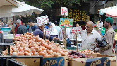 خبير اقتصادى لـ