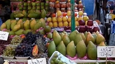 بوابة المواطن تكشف  دور 
