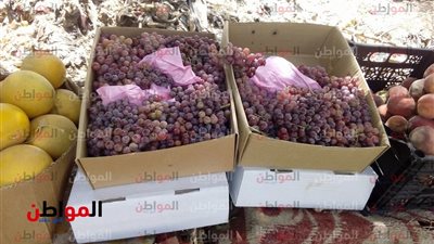 ننشر أسعار الخضروات والفاكهة بمحافظة السويس في خامس أيام شهر رمضان 2018