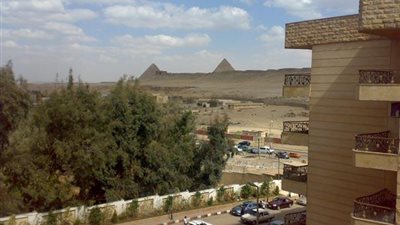 فيديو| 