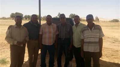 صور| الانتهاء من تنفيذ 200 حقل إرشادى لمحصول الدخن بـ الخارجة