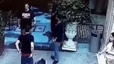 فيديو| أغرب 
