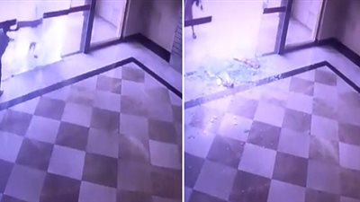 فيديو| لحظة انفجار باب زجاجي في وجه فتاة بطريقة مروعة