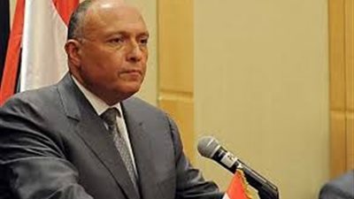 اليوم.. سامح شكري يلتقي زعيم الأغلبية الألمانية 