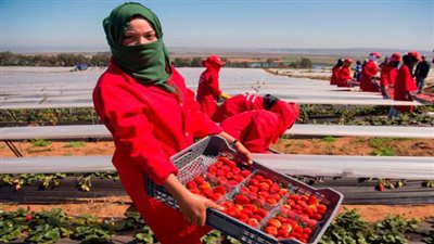 إسبانيا تواجه تهمة استغلال مغربيات جنسيًا