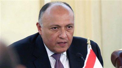 اليوم.. مصر تشارك في اجتماع الإصلاح المؤسسي للاتحاد الإفريقي