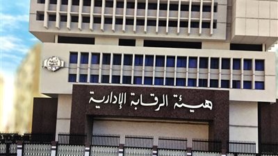 فيديو| 