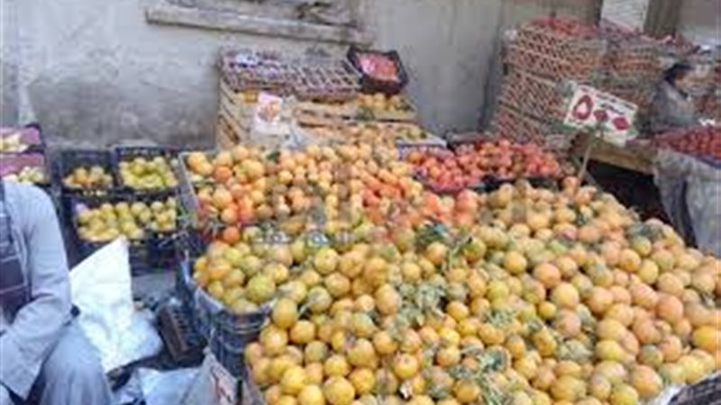 اسعار الفاكهة 