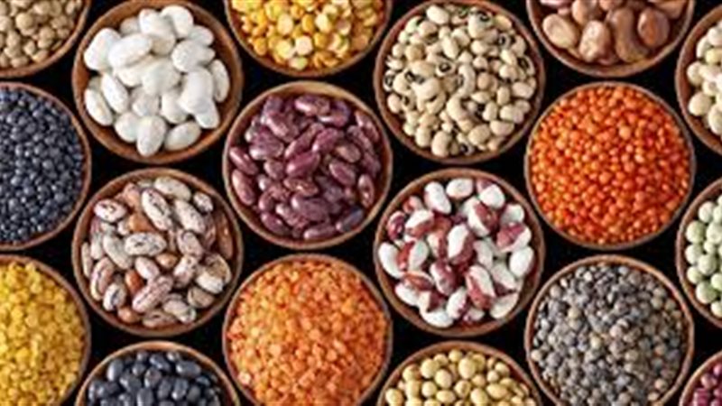 اسعار البقوليات 