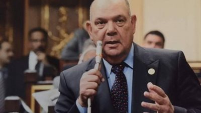 النائب محمد ماهر مهاجمًا منظمة هيومان رايتس: تنفذ أجندة قطرية تركية لخدمة الإخوان