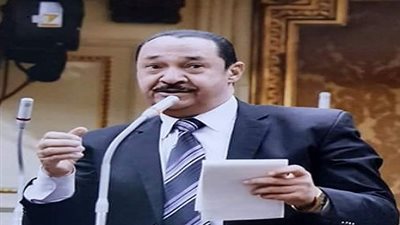 النائب النويشى: يطالب باستكمال الصرف الصحي ببعض المناطق بـ