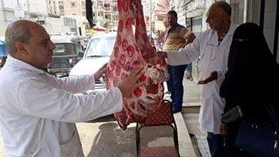 صور| حملات بيطرية تجوب شوارع محافظة الدقهلية 