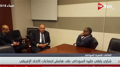 فيديو| شكري يستقبل وزير خارجية السودان اليوم