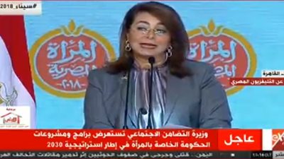 فيديو| والي: 100 مليون جنيه منحة من الوزارة للجمعيات الأهلية 