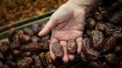 نرصد أسعار البلح في الأسواق اليوم