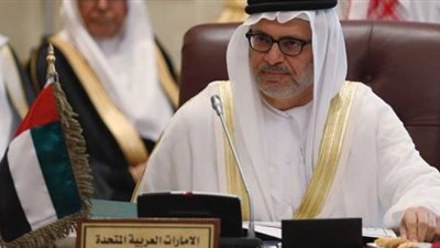 فيديو| 