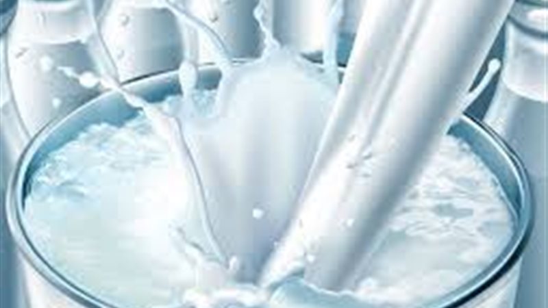 أسعار الألبان