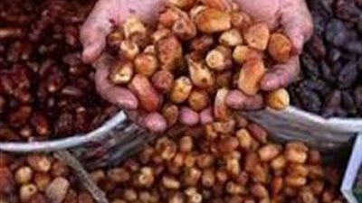 نرصد أسعار البلح في الأسواق اليوم