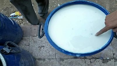 ضبط 1080 لتر لبن به حشرات وشوائب في الواسطى بـ