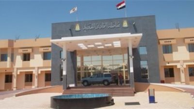 دجاجتين و2 كيس مكرونه وجبة بـ 50 جنيه في الوادي الجديد