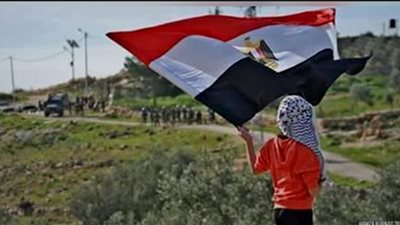 وقف إطلاق النار جاء في مصلحة إسرائيل.. ومصر مفتاح السر