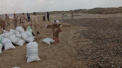 ضبط وإعدام 65 طن أسماك نافقة محرم صيدها بـ