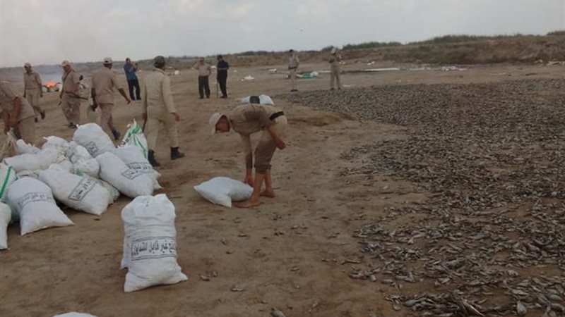 بحيرة البرلس-اعدام