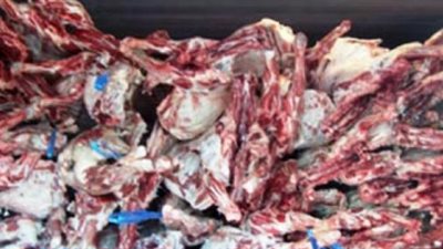 وزارة الزراعة تشن حملات واسعة لضبط مخالفات اللحوم الغير صالحة 
