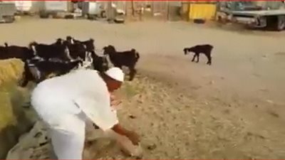 فيديو| قبل عيد الفطر 2018.. خناقة الأزواج على اللبس والطلبات تُشعل مواقع التواصل الاجتماعي 