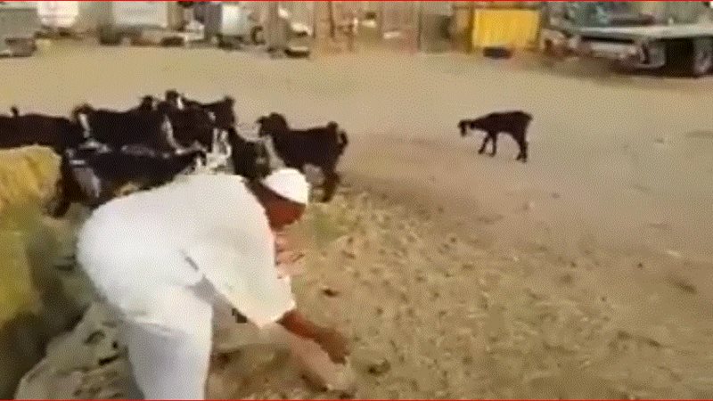 عيد الفطر 2018 