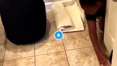 فيديو|  فتاة تقود سيارة خفية في مرحاض منزلها 